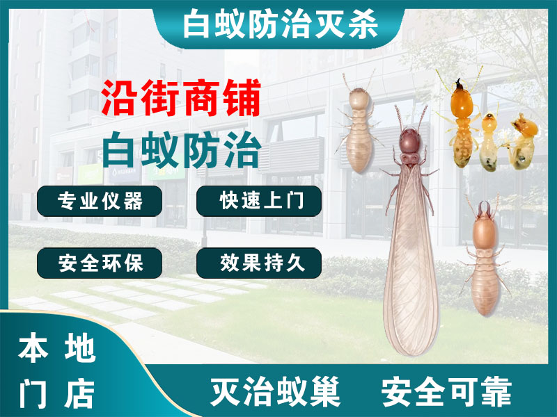 玉环市沿街商铺白蚁防治