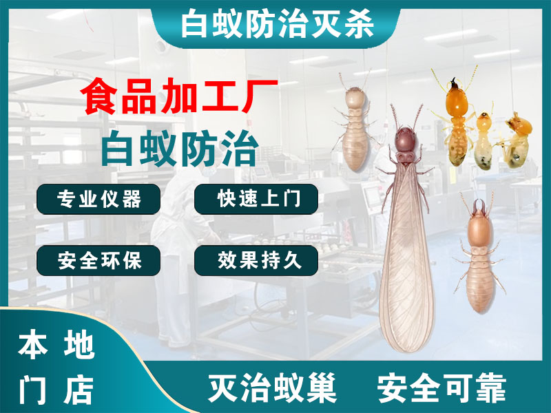 玉环市食品加工厂白蚁防治