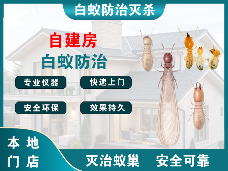 玉环市自建房白蚁防治