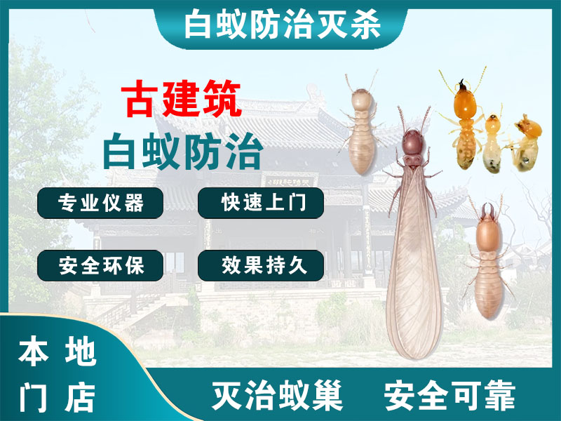 玉环市古建筑白蚁防治