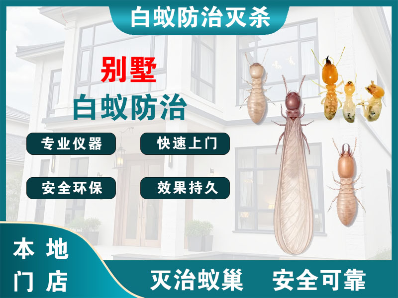 玉环市别墅白蚁防治